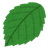 Net Zero